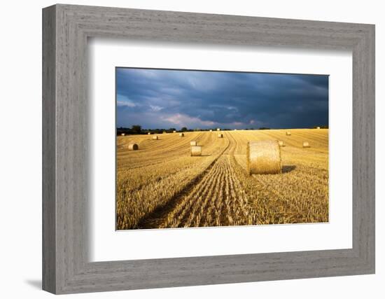 Baled Field, Gloucestershire, England, United Kingdom, Europe-John Alexander-Framed Photographic Print