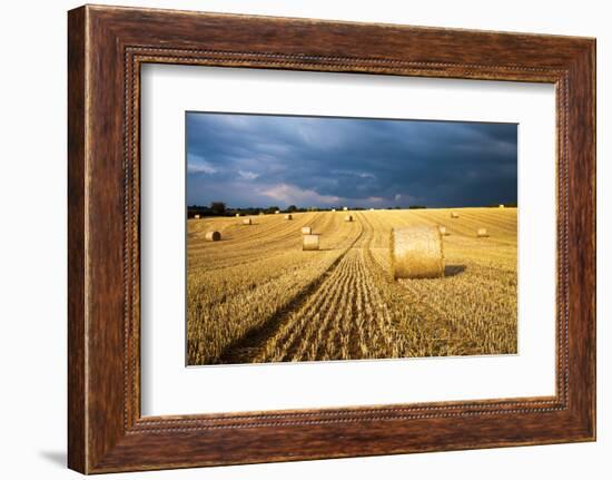 Baled Field, Gloucestershire, England, United Kingdom, Europe-John Alexander-Framed Photographic Print