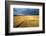 Baled Field, Gloucestershire, England, United Kingdom, Europe-John Alexander-Framed Photographic Print