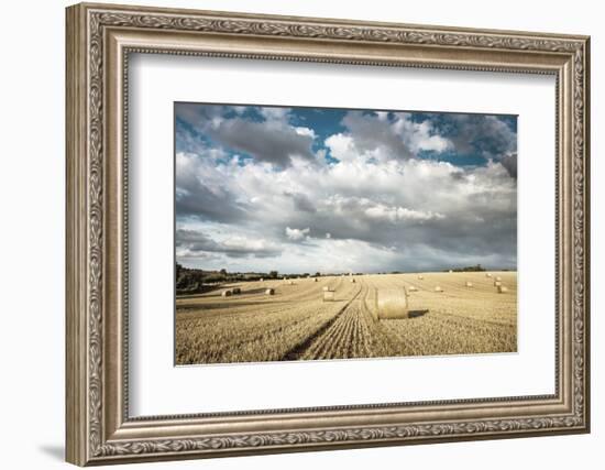 Baled Field, Gloucestershire, England, United Kingdom, Europe-John Alexander-Framed Photographic Print