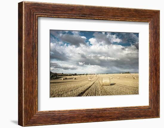 Baled Field, Gloucestershire, England, United Kingdom, Europe-John Alexander-Framed Photographic Print