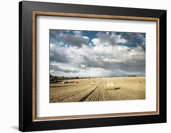 Baled Field, Gloucestershire, England, United Kingdom, Europe-John Alexander-Framed Photographic Print