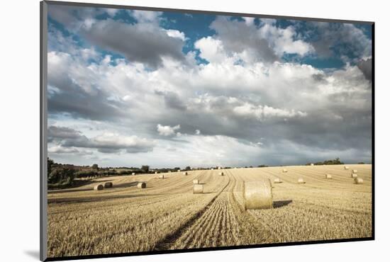 Baled Field, Gloucestershire, England, United Kingdom, Europe-John Alexander-Mounted Photographic Print