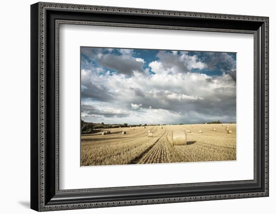 Baled Field, Gloucestershire, England, United Kingdom, Europe-John Alexander-Framed Photographic Print