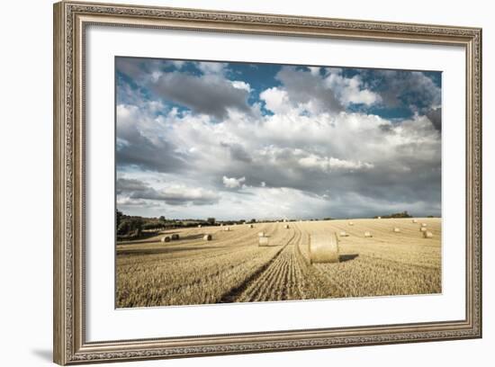 Baled Field, Gloucestershire, England, United Kingdom, Europe-John Alexander-Framed Photographic Print