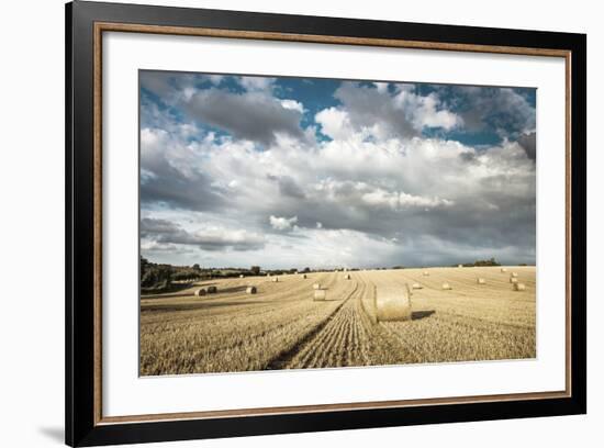 Baled Field, Gloucestershire, England, United Kingdom, Europe-John Alexander-Framed Photographic Print