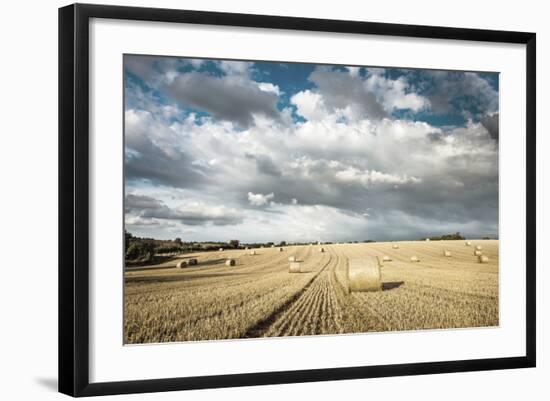 Baled Field, Gloucestershire, England, United Kingdom, Europe-John Alexander-Framed Photographic Print