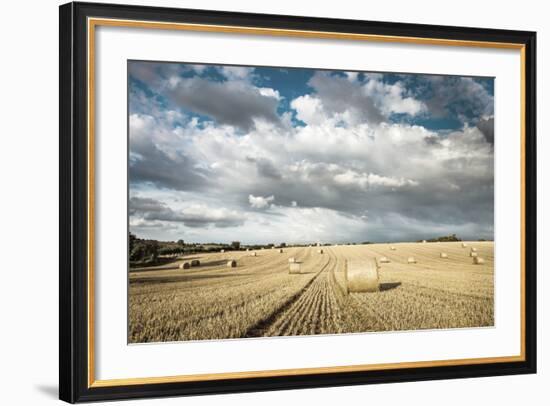 Baled Field, Gloucestershire, England, United Kingdom, Europe-John Alexander-Framed Photographic Print