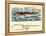 Baleen Whale-null-Framed Stretched Canvas