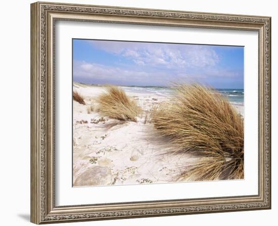 Bales Beach, Seal Bay Con. Park, Kangaroo Island, South Australia, Australia-Neale Clarke-Framed Photographic Print