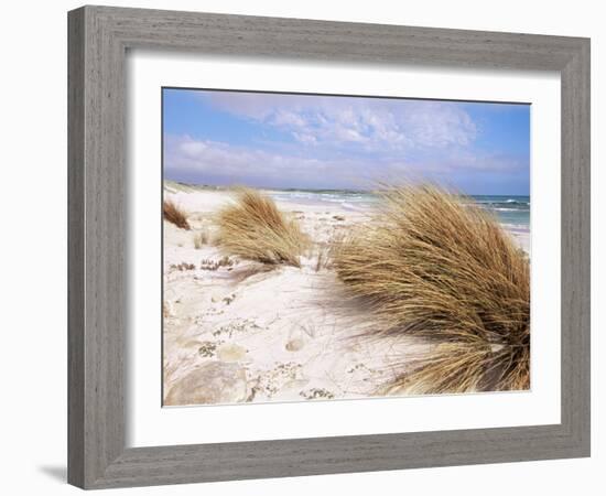 Bales Beach, Seal Bay Con. Park, Kangaroo Island, South Australia, Australia-Neale Clarke-Framed Photographic Print