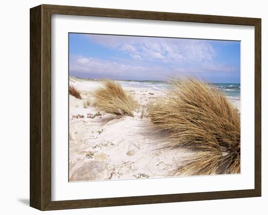 Bales Beach, Seal Bay Con. Park, Kangaroo Island, South Australia, Australia-Neale Clarke-Framed Photographic Print