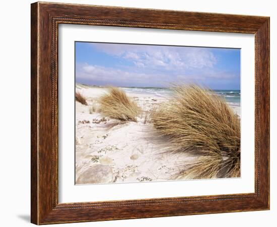 Bales Beach, Seal Bay Con. Park, Kangaroo Island, South Australia, Australia-Neale Clarke-Framed Photographic Print