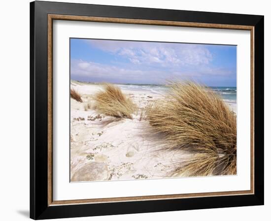 Bales Beach, Seal Bay Con. Park, Kangaroo Island, South Australia, Australia-Neale Clarke-Framed Photographic Print