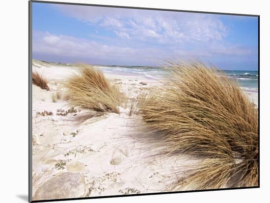 Bales Beach, Seal Bay Con. Park, Kangaroo Island, South Australia, Australia-Neale Clarke-Mounted Photographic Print