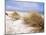 Bales Beach, Seal Bay Con. Park, Kangaroo Island, South Australia, Australia-Neale Clarke-Mounted Photographic Print