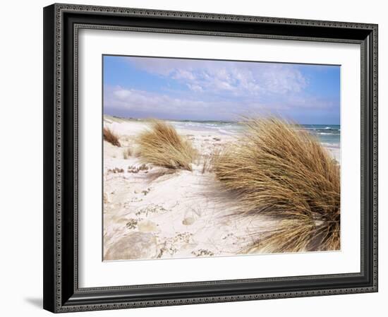 Bales Beach, Seal Bay Con. Park, Kangaroo Island, South Australia, Australia-Neale Clarke-Framed Photographic Print