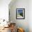 Bales Beach, Seal Bay Conservation Park, Kangaroo Island, South Australia, Australia, Pacific-Neale Clarke-Framed Photographic Print displayed on a wall