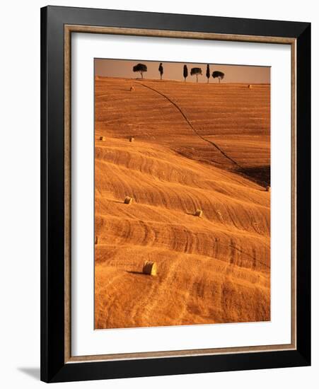 Bales in Rolling Fields-Bob Krist-Framed Photographic Print