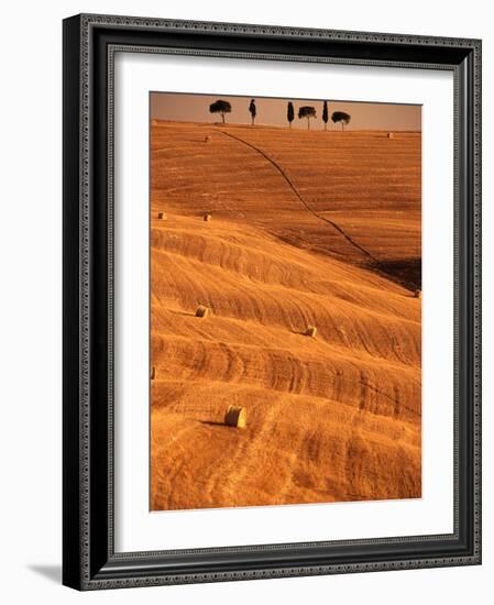 Bales in Rolling Fields-Bob Krist-Framed Photographic Print