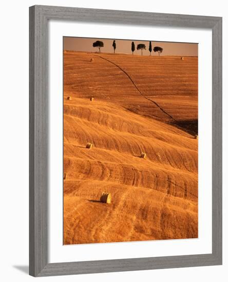 Bales in Rolling Fields-Bob Krist-Framed Photographic Print