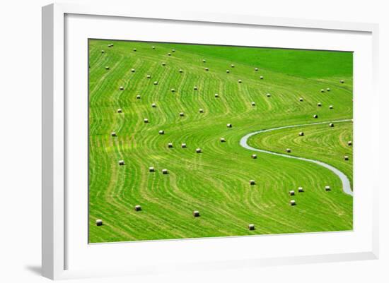 Bales of Hay on Meadow. Aerial View on Summer Landscape.-Peteri-Framed Photographic Print