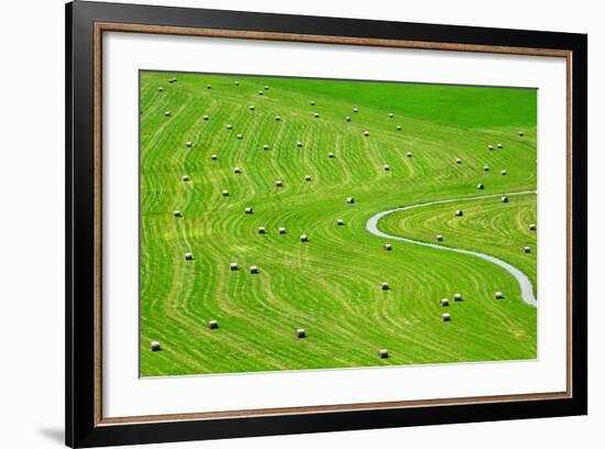 Bales of Hay on Meadow. Aerial View on Summer Landscape.-Peteri-Framed Photographic Print