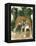 Bali Tiger-Maurice Wilson-Framed Premier Image Canvas