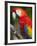 Bali, Ubud, a Greenwing Macaw Poses at Bali Bird Park-Niels Van Gijn-Framed Photographic Print