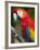 Bali, Ubud, a Greenwing Macaw Poses at Bali Bird Park-Niels Van Gijn-Framed Photographic Print