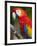 Bali, Ubud, a Greenwing Macaw Poses at Bali Bird Park-Niels Van Gijn-Framed Photographic Print