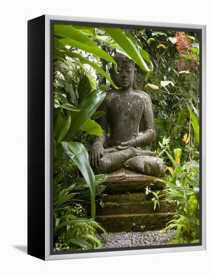 Bali, Ubud, a Statue of buddha Sits Serenely in Gardens-Niels Van Gijn-Framed Premier Image Canvas