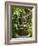 Bali, Ubud, a Statue of buddha Sits Serenely in Gardens-Niels Van Gijn-Framed Photographic Print