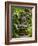 Bali, Ubud, a Statue of buddha Sits Serenely in Gardens-Niels Van Gijn-Framed Photographic Print