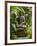 Bali, Ubud, a Statue of buddha Sits Serenely in Gardens-Niels Van Gijn-Framed Photographic Print