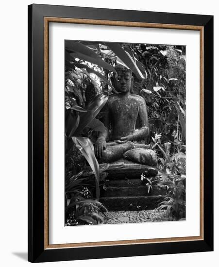 Bali, Ubud, a Statue of buddha Sits Serenely in Gardens-Niels Van Gijn-Framed Photographic Print