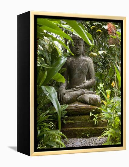 Bali, Ubud, a Statue of buddha Sits Serenely in Gardens-Niels Van Gijn-Framed Premier Image Canvas