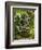 Bali, Ubud, a Statue of buddha Sits Serenely in Gardens-Niels Van Gijn-Framed Photographic Print