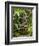 Bali, Ubud, a Statue of buddha Sits Serenely in Gardens-Niels Van Gijn-Framed Photographic Print