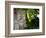 Bali, Ubud, a Stone Carving, Adorned with a Hibiscus Flower, Sits in Tropical Gardens-Niels Van Gijn-Framed Photographic Print