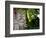 Bali, Ubud, a Stone Carving, Adorned with a Hibiscus Flower, Sits in Tropical Gardens-Niels Van Gijn-Framed Photographic Print