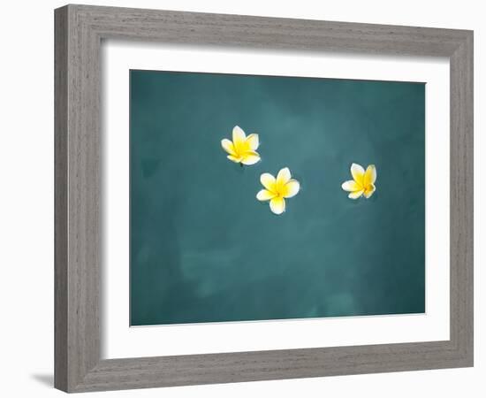 Bali, Ubud, Franjipani Flowers Float on a Swimming Pool-Niels Van Gijn-Framed Photographic Print