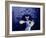 Balinese Dancer in Front of Temple in Ubud, Bali, Indonesia-Jim Zuckerman-Framed Photographic Print