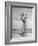 Balinese Dancer Pollok, Performing an Old Liagon Dance-null-Framed Photographic Print