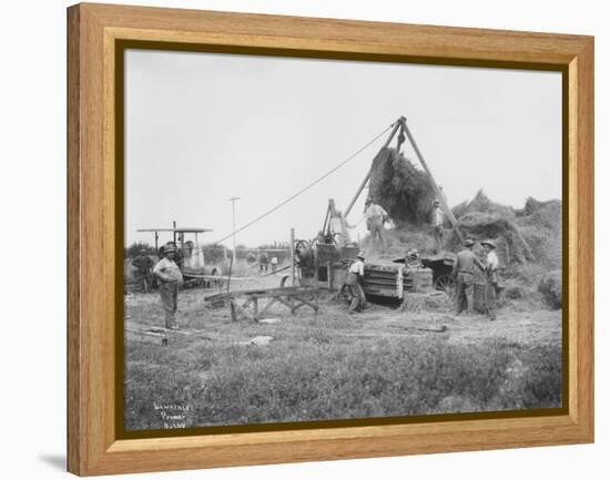 Baling Hay Near Prosser, WA, Circa 1914-B.P. Lawrence-Framed Premier Image Canvas