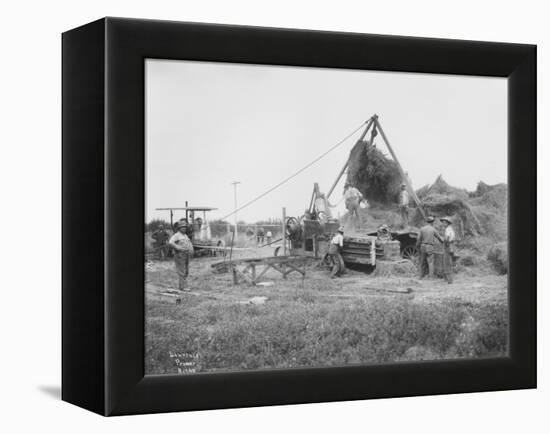 Baling Hay Near Prosser, WA, Circa 1914-B.P. Lawrence-Framed Premier Image Canvas