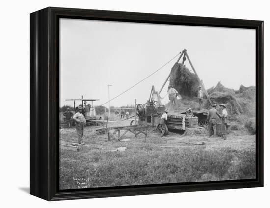 Baling Hay Near Prosser, WA, Circa 1914-B.P. Lawrence-Framed Premier Image Canvas