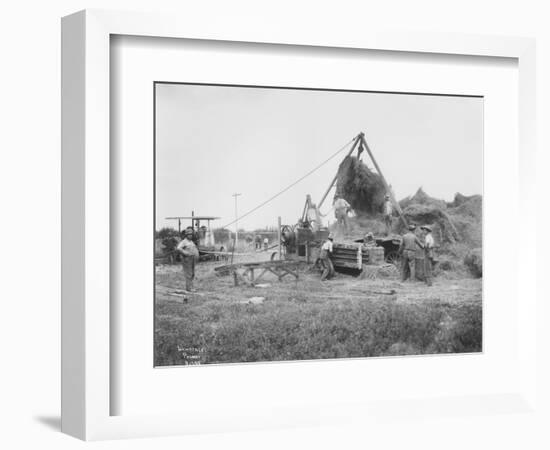 Baling Hay Near Prosser, WA, Circa 1914-B.P. Lawrence-Framed Giclee Print