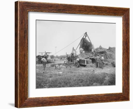 Baling Hay Near Prosser, WA, Circa 1914-B.P. Lawrence-Framed Giclee Print