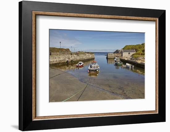 Balintoy harbour, near Giant's Causeway, County Antrim, Ulster, Northern Ireland, United Kingdom, E-Nigel Hicks-Framed Photographic Print